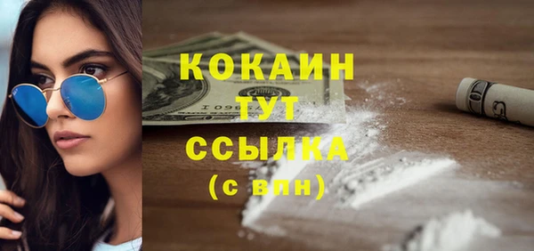 дживик Мегион