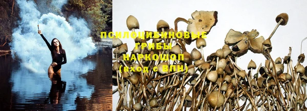 дживик Мегион