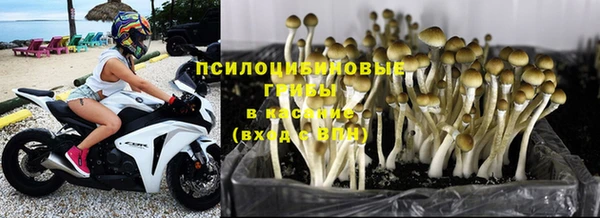 дживик Мегион